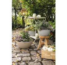Självvattnande blomkruka LECHUZA Cubeto Stone plast Ø40x18cm sandbeige inkl. substrat