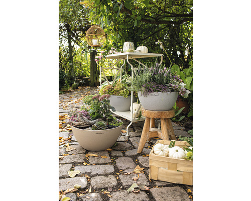 Trädgårdsscen med planterade planteringskärl, dekorationer och trädgårdsmöbler på en stensatt gångväg