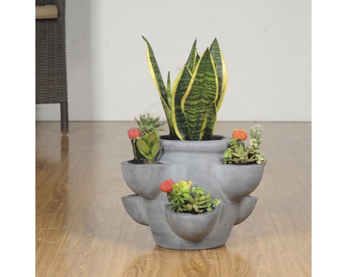 Betongplanteringskärl i flera nivåer med olika suckulenter och en Sansevieria