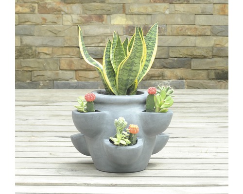 Planteringskärl planterad med suckulenter och kaktus