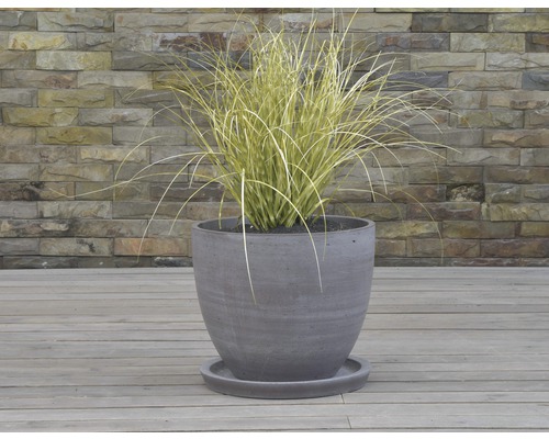 Växt i kruka med fat på en träveranda framför en stenmur