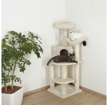 Klösträd med två katter och leksaksmöss i ett rum