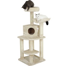 Klösträd med två katter