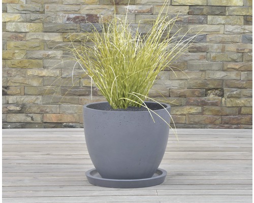 Grå betongblomkruka med fat och prydnadsgräs