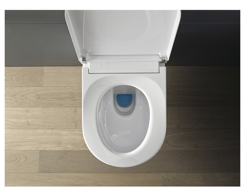 Snittvy av vägghängd toalett med öppet lock