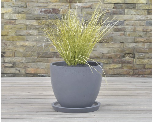 Grå blomkruka med fat och växt framför stenmur