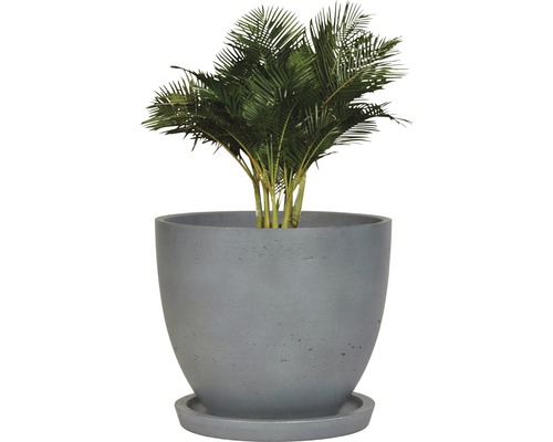 Inomhusväxt i kruka med fat