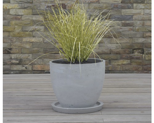 Betongblomkruka med växt på ett trägolv