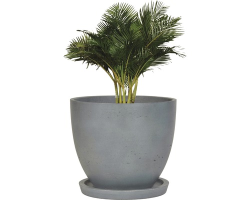 Inomhusväxt i grå planteringskruka med fat