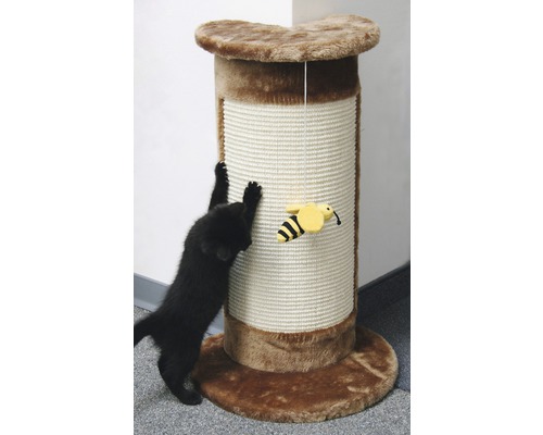 Katt använder klösträd med leksak