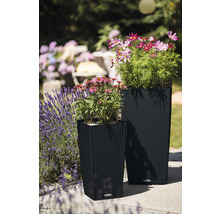 Två blomlådor med blommor på en terrass