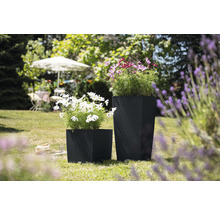 Två svarta blomkrukor med blommor i trädgården