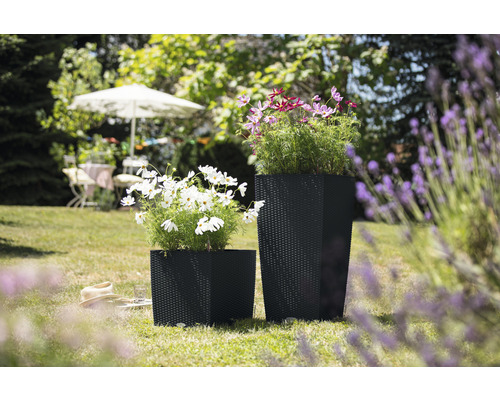 Två svarta blomkrukor med blommor i trädgården