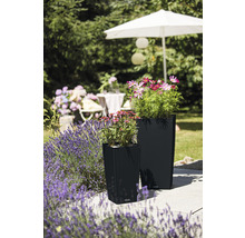 Självvattnande blomkruka LECHUZA Cubico Cottage 30 plast 30x30x56cm svart inkl. substrat