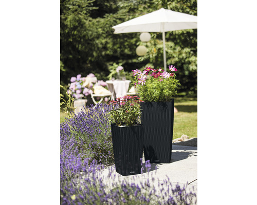 Två växtlådor med växter på en terrass