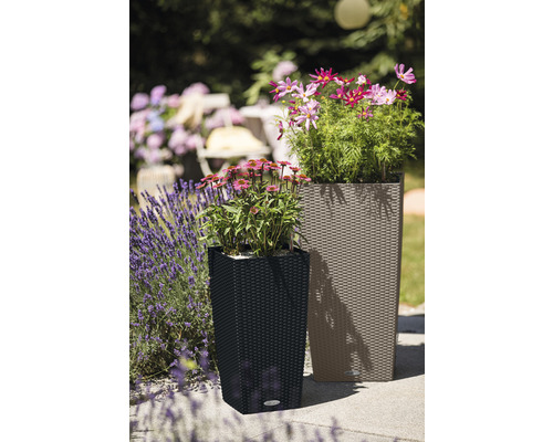 Två blomlådor i plast med flätat mönster i trädgården.