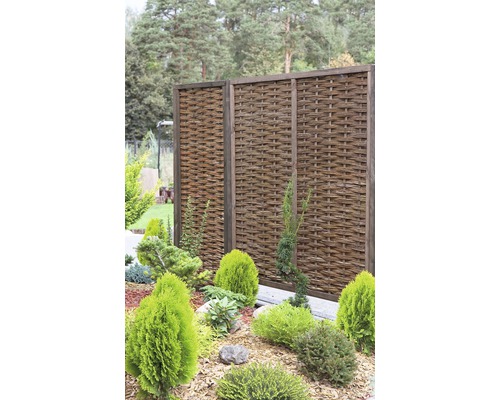 Trädgårdsscen med flätad skärm och olika gröna växter