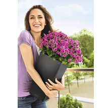 Självvattnande blomkruka LECHUZA Cubico Color plast 30x30x56cm antracit