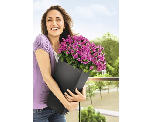 Kvinna håller svart blomlåda med lila blommor på balkongen