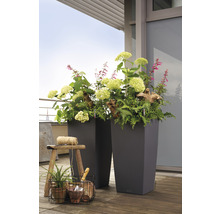 Självvattnande blomkruka LECHUZA Cubico Color plast 40x40x75cm skiffergrå