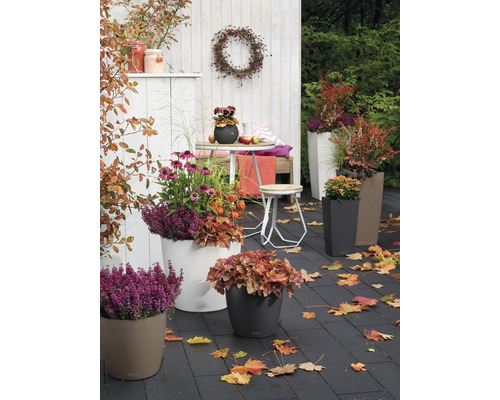 Höstträdgårdsscen med planterade ytterkrukor, bord, stol och höstlöv.