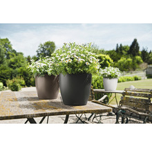 Självvattnande blomkruka LECHUZA Classico Color Ø28x26cm antracit