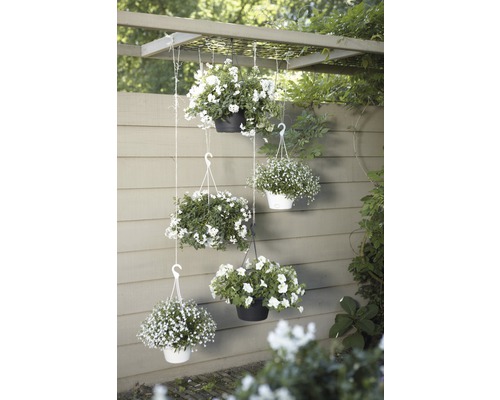 Dekorativa hängande korgar med vita blommor, arrangerade på en pergola i trädgården.