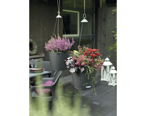 Två planterade hängkrukor med blommor utomhus.