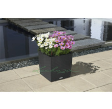 Självvattnande blomkruka LECHUZA Cube Cottage 40x40x44cm granit