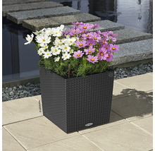 Självvattnande blomkruka LECHUZA Cube Cottage 40x40x44cm granit