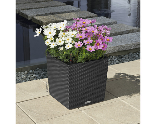 Blommor i en fyrkantig planteringslåda med bevattningssystem