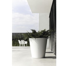 Vit blomkruka i plast med växt på terrassen