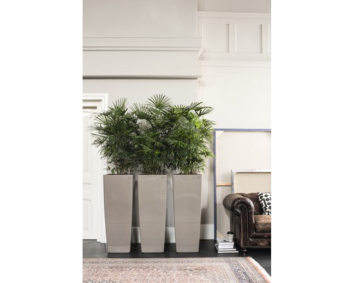 Tre höga, smala planteringskärl med gröna växter i ett ljust rum.