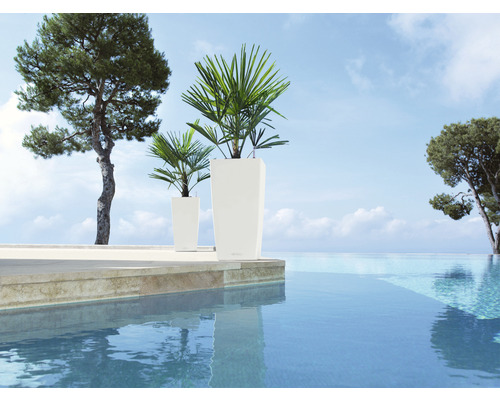 Två smala, höga planteringskärl i plast med växter bredvid en pool.