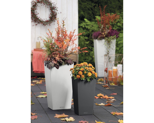 Scen med två blomkrukor och höstdekoration utomhus