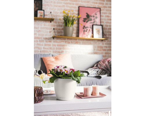 Dekorativ inredning med bord, soffa, hyllor och blommor