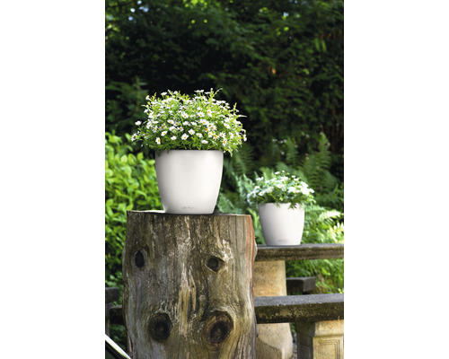 Scen med planterade vita blomkrukor i trädgården.