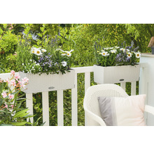 Självvattnande blomlåda LECHUZA Balconera Cottage plast 50x19x19cm vit