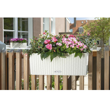 Självvattnande blomlåda LECHUZA Balconera Cottage plast 50x19x19cm vit