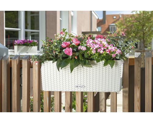 Balkonglåda i plast med färgglada blommor på en träbalkong