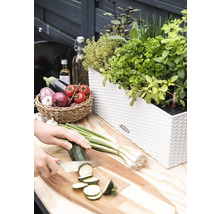 Självvattnande blomlåda LECHUZA Balconera Cottage plast 50x19x19cm vit