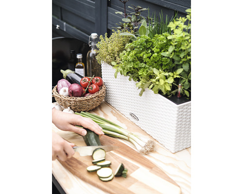 Scen med kryddträdgård i kruka, grönsaker i en korg och en person som skär zucchini på en skärbräda