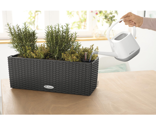 Bevattning av en örtagård i en svart blomlåda med bevattningssystem och vattennivåindikator