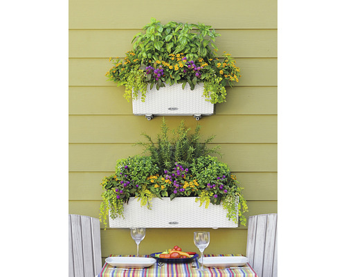 Två blomlådor med olika örter och blommor på en vägg ovanför ett bord med platsinställning.