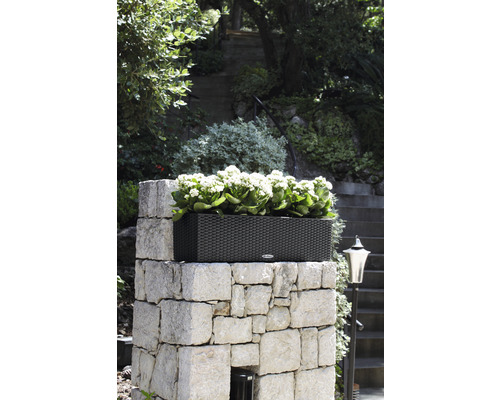 Rektangulär planteringslåda i rotting på en stenmur med plantering