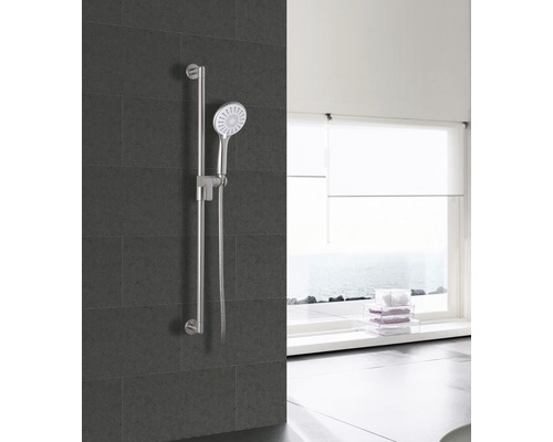 Duschstång med handdusch i badrummet