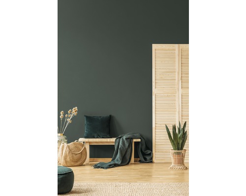 Vardagsrum med bänk, kudde, pläd, växt och rumsavdelare