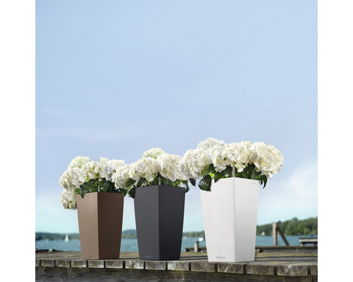 Tre höga blomlådor med blommor på en träbrygga
