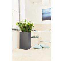 Självvattnande blomkruka LECHUZA Canto Premium plast 40x40x75,8cm grå inkl. substrat