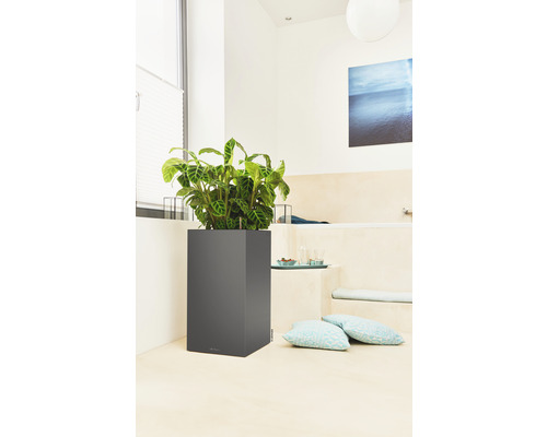Växter i fyrkantig växtbehållare i badrummet